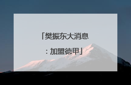 樊振东大消息：加盟德甲