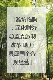 潍坊临朐：深化财务总监委派制改革 助力县属国企合规经营