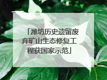 潍坊历史遗留废弃矿山生态修复工程获国家示范