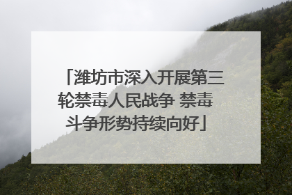 潍坊市深入开展第三轮禁毒人民战争 禁毒斗争形势持续向好