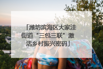 潍坊滨海区大家洼街道“三包三联”激活乡村振兴密码