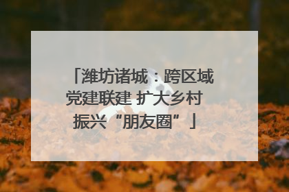 潍坊诸城：跨区域党建联建 扩大乡村振兴“朋友圈”