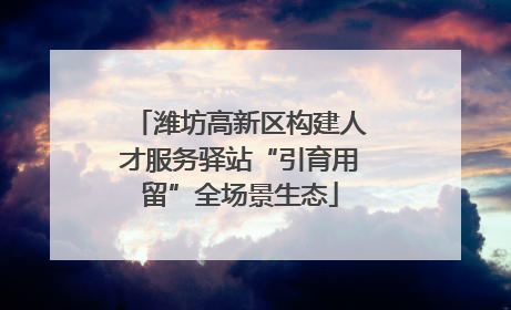 潍坊高新区构建人才服务驿站“引育用留”全场景生态