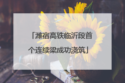 潍宿高铁临沂段首个连续梁成功浇筑