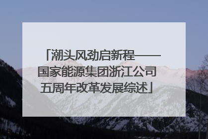潮头风劲启新程——国家能源集团浙江公司五周年改革发展综述