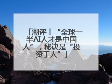 潮评丨“全球一半AI人才是中国人”，秘诀是“投资于人”