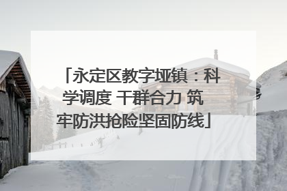 永定区教字垭镇：科学调度 干群合力 筑牢防洪抢险坚固防线