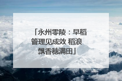 永州零陵：早稻管理见成效 稻浪飘香穗满田