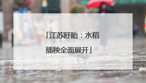 江苏盱眙：水稻插秧全面展开
