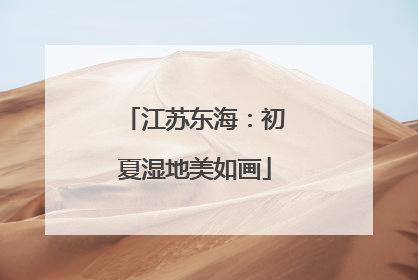 江苏东海：初夏湿地美如画