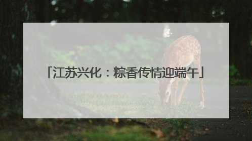 江苏兴化：粽香传情迎端午