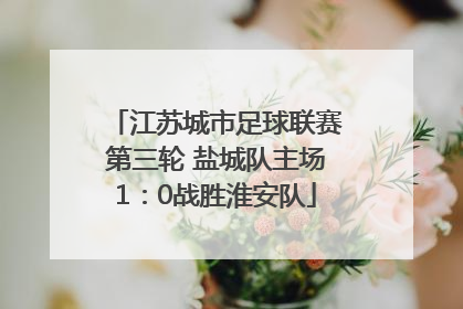 江苏城市足球联赛第三轮 盐城队主场1：0战胜淮安队