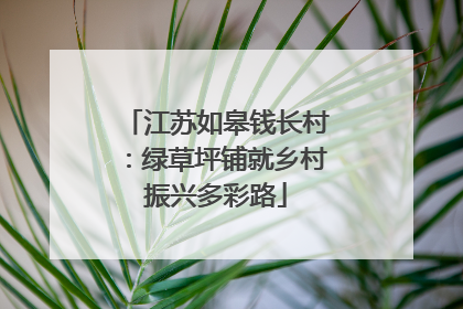 江苏如皋钱长村：绿草坪铺就乡村振兴多彩路