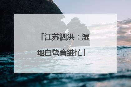 江苏泗洪：湿地白鹭育雏忙