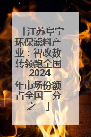 江苏阜宁环保滤料产业：智改数转领跑全国 2024年市场份额占全国三分之一
