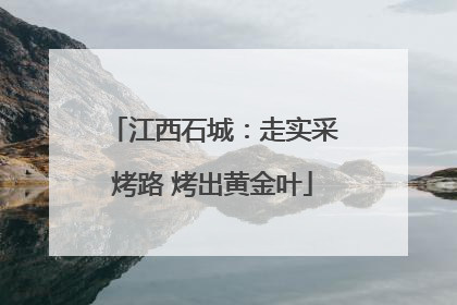 江西石城：走实采烤路 烤出黄金叶