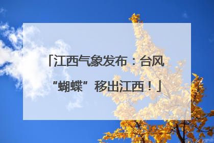 江西气象发布：台风“蝴蝶”移出江西！
