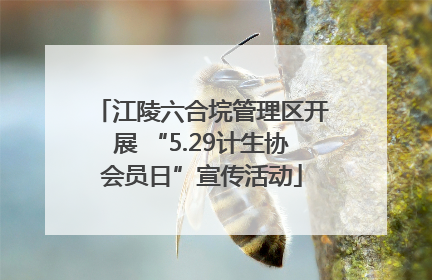 江陵六合垸管理区开展 “5.29计生协会员日”宣传活动