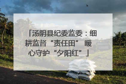 汤阴县纪委监委：细耕监督“责任田” 暖心守护“夕阳红”