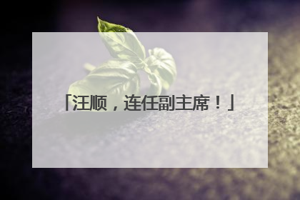 汪顺，连任副主席！