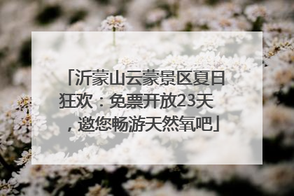 沂蒙山云蒙景区夏日狂欢：免票开放23天，邀您畅游天然氧吧