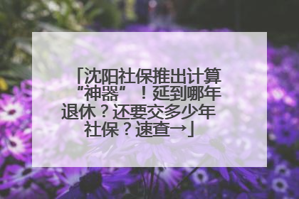 沈阳社保推出计算“神器”！延到哪年退休？还要交多少年社保？速查→