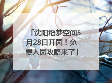 沈阳稻梦空间5月28日开园！免费入园攻略来了
