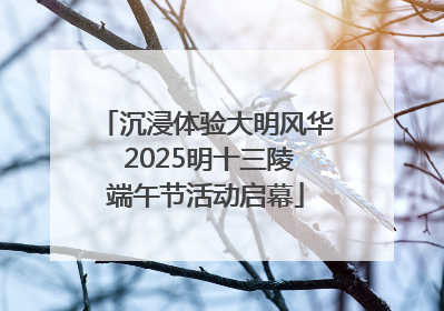 沉浸体验大明风华 2025明十三陵端午节活动启幕