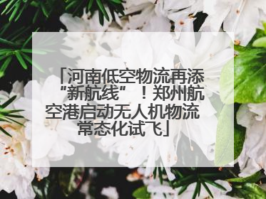 河南低空物流再添“新航线”！郑州航空港启动无人机物流常态化试飞