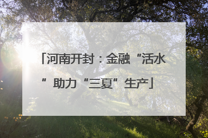 河南开封：金融“活水”助力“三夏”生产