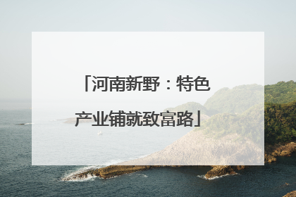 河南新野：特色产业铺就致富路