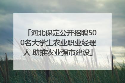 河北保定公开招聘500名大学生农业职业经理人 助推农业强市建设