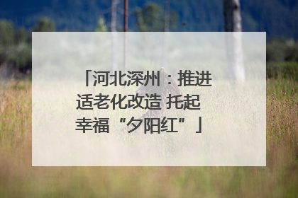 河北深州：推进适老化改造 托起幸福“夕阳红”