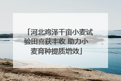 河北鸡泽千亩小麦试验田喜获丰收 助力小麦育种提质增效