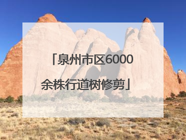 泉州市区6000余株行道树修剪