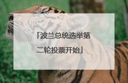 波兰总统选举第二轮投票开始