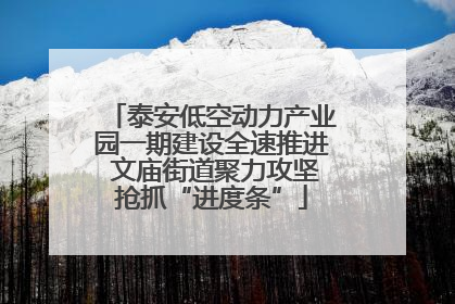 泰安低空动力产业园一期建设全速推进 文庙街道聚力攻坚抢抓“进度条”