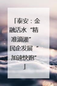 泰安：金融活水“精准滴灌” 民企发展“加速快跑”