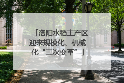 洛阳水稻主产区迎来规模化、机械化“二次变革”