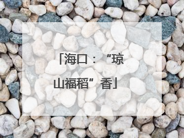 海口：“琼山福稻”香