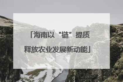海南以“链”提质 释放农业发展新动能