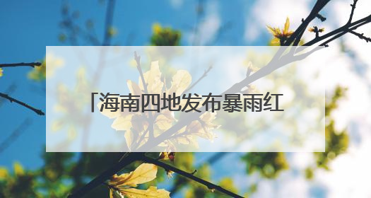 海南四地发布暴雨红色预警 三亚商场、餐饮场所暂停营业