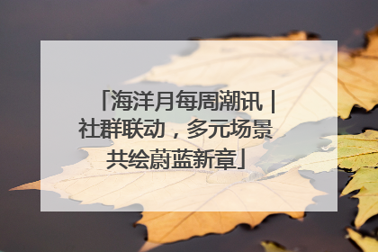 海洋月每周潮讯｜社群联动，多元场景共绘蔚蓝新章