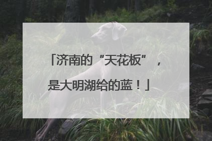 济南的“天花板”，是大明湖给的蓝！