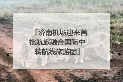 济南机场迎来首批航旅融合国际中转航线旅游团