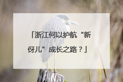 浙江何以护航“新伢儿”成长之路？