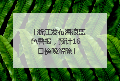 浙江发布海浪蓝色警报，预计16日傍晚解除