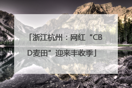 浙江杭州：网红“CBD麦田”迎来丰收季