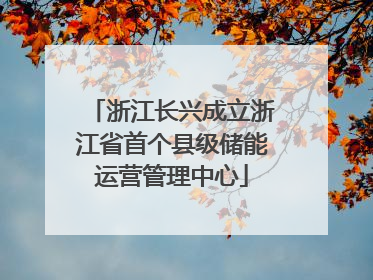 浙江长兴成立浙江省首个县级储能运营管理中心