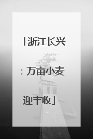 浙江长兴：万亩小麦迎丰收